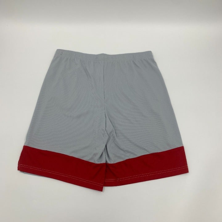 Gray TB Buccaneers Nike Shorts Size L