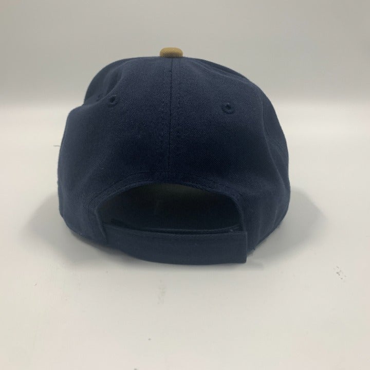 Houston Astros Navy & Gold 97 Pennant Hat