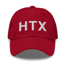 HTX Houston Texas Dad Hat