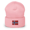 Norway Flag Cuffed Beanie