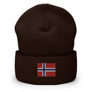 Norway Flag Cuffed Beanie