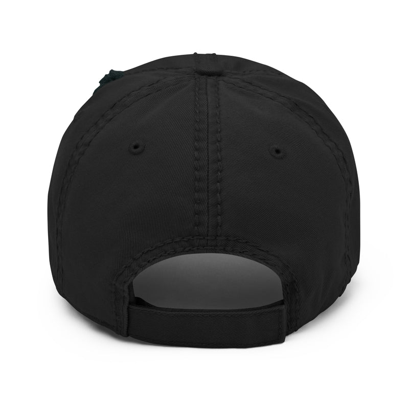 TLH Tallahassee Airport Code Distressed Dad Hat