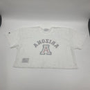 Arizona Wildcats See Thru Mesh Crop Top Champion Jersey Size L