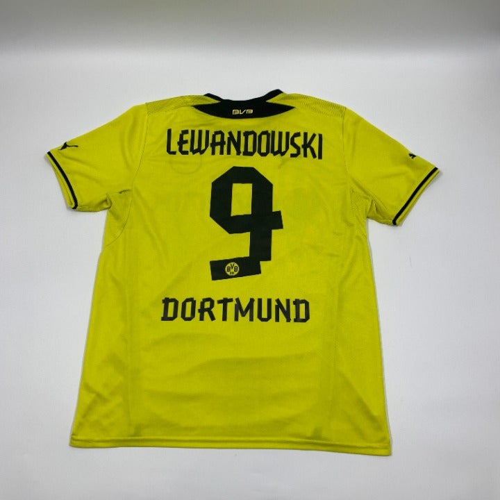 2013/2014 Borussia Dortmund