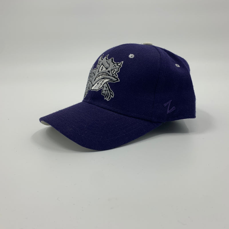 Purple TCU horned frogs fitted hat.