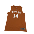Texas longhorns
