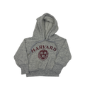 Vintage Paper Thin Youth Harvard Hoodie Size 18months