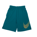 Aqua Blue Nike Shorts Size Small