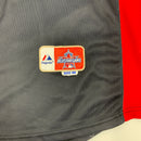 Washington Nationals 2010 all star warm up jersey