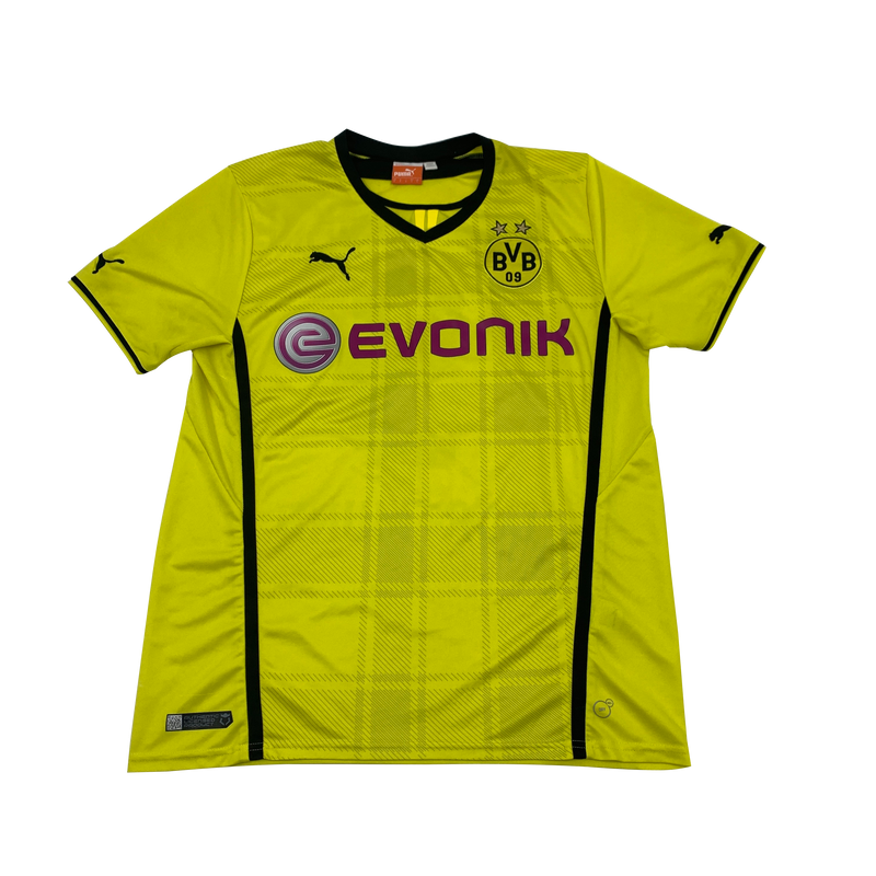 2013/2014 Borussia Dortmund