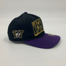 Vintage University of Washington Huskies hat.