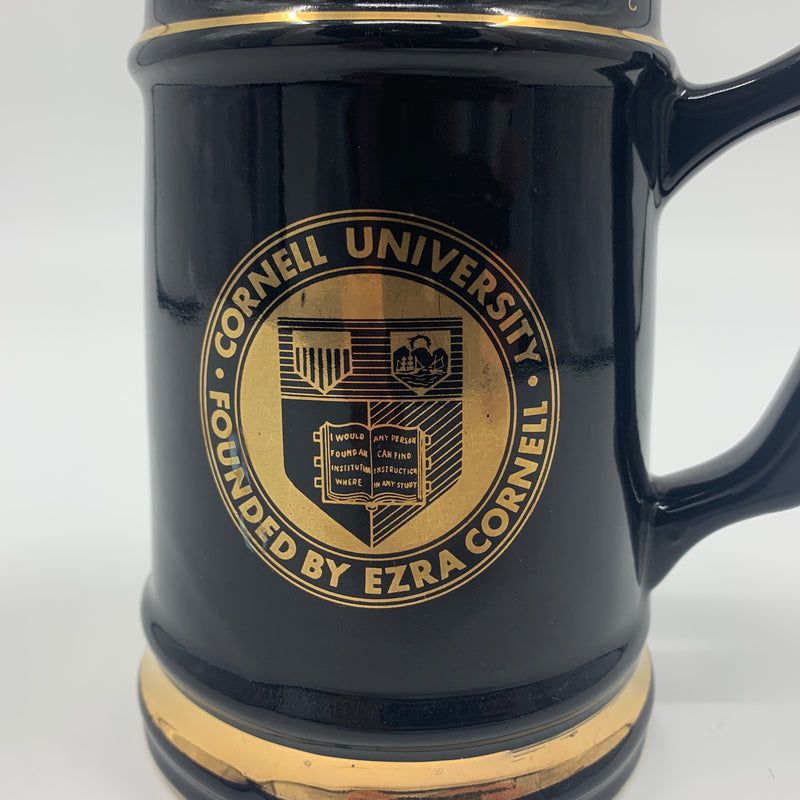 Vintage Cornell beer stein