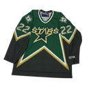 Dallas stars Brett Hull Jersey size L
