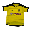 Youth Puma Borussia Dortmund BVB jersey