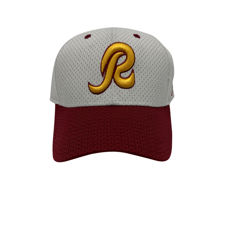 NWT Washington Redskins adjustable hat