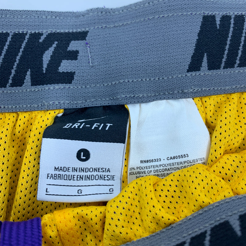 LSU Tigers Nike Dri-Fit shorts Size L