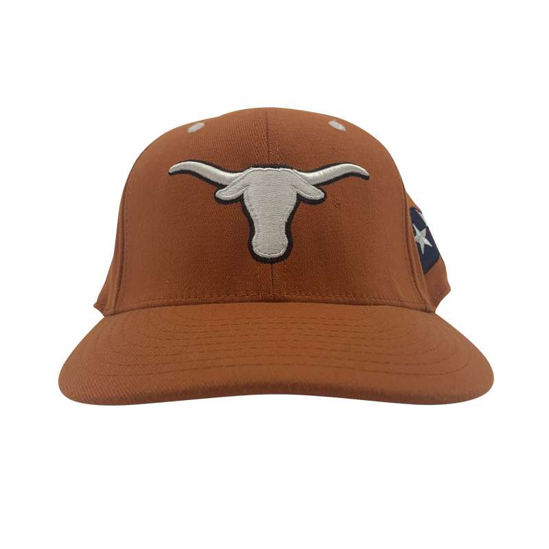 Texas Longhorns Baseball Hat