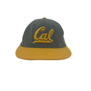 NWT university of California fitted hat