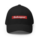 Gabagool Box Logo Closed Back Hat
