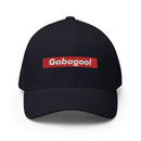 Gabagool Box Logo Closed Back Hat