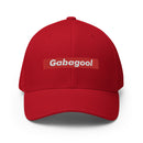 Gabagool Box Logo Closed Back Hat