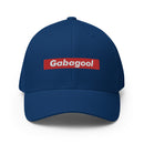 Gabagool Box Logo Closed Back Hat