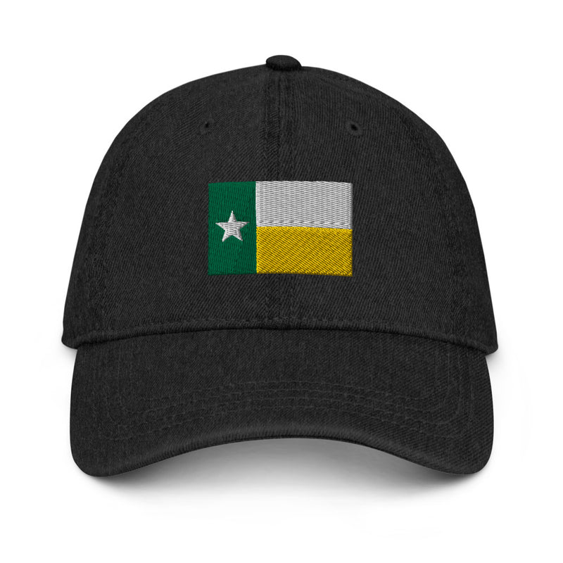 Green and Gold Texas Flag Denim Dad Hat