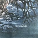 Tie Dye The Mountain Wolf Tree Roots T-shirt Size 2XL