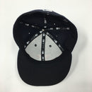 Houston Astros 2017 World Series fitted hat