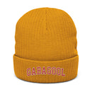 Gabagool Collegiate Recycled Polyester Cuffed Beanie