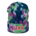 Philadelphia Jawn Collegiate Tie Dye Dad Beanie