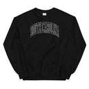 South Carolina Collegiate Style Sweatshirt