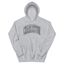 Charleston SC Collegiate Style Hoodie