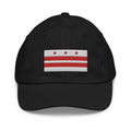 Washington DC Flag Youth Hat