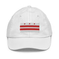 Washington DC Flag Youth Hat