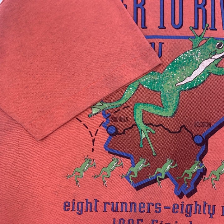 90s Illinois Eighty Mile River Run T-shirt Size L